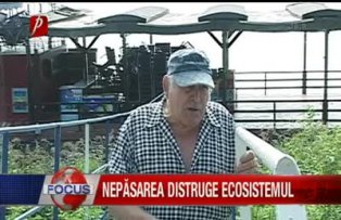 Nepăsarea distruge ecosistemul