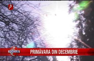 Primavara din decembrie