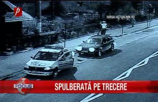 Spulberata pe trecere