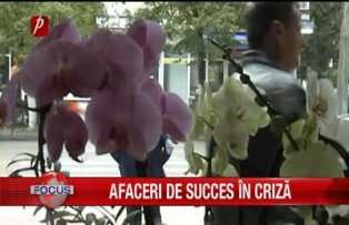 Afaceri de succes in criza