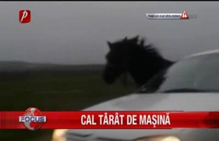 Cal tarat de masina