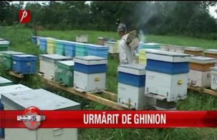 Urmarit de ghinion