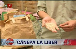 Canepa la liber