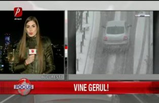 Vine gerul