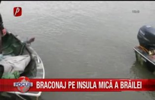 Braconaj pe insula mica a Brilei