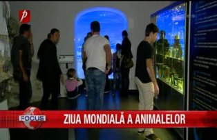 Ziua mondiala a animalelor