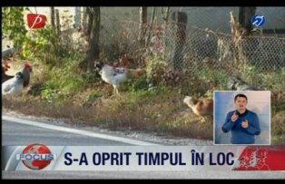 Focus ora 14:00. S-a oprit timpul in loc