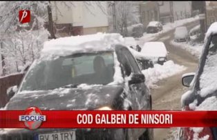 Cod galben de ninsori