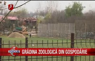 Gradina zoologica din gospodarie