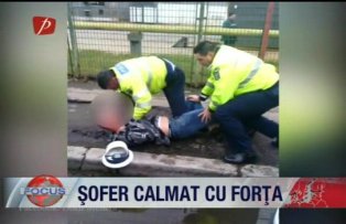 Sofer calmat cu forta