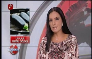 La plaja pentru zacusca