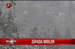 Zăpada mieilor