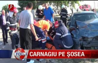 Carnagiu pe şosea