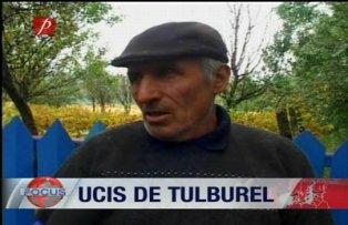 Ucis de tulburel