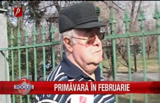 Primavara in februarie