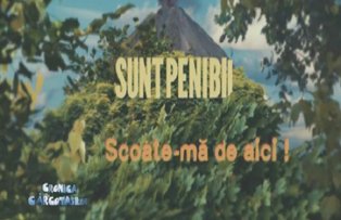 VIDEO / "Cronica" carcoteste pe seama faunei din reality-show-uri
