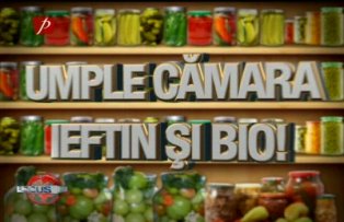 Umple camara ieftin si bio. Muraturile