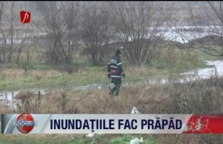 Inundatiile fac prapad