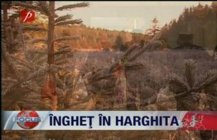 Îngheţ în Harghita