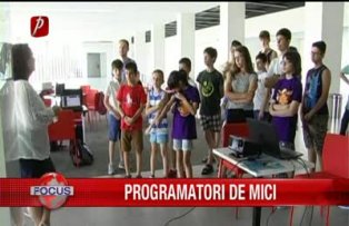 Programatori de mici