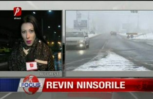 Revin ninsorile