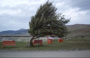 COD GALBEN de vant puternic. Vezi zonele vizate