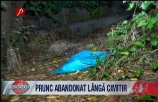 Prunc abandonat laga cimitir.