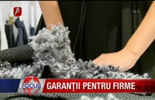 Garanţii pentru firme