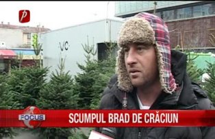 Scumpul brad de Craciun