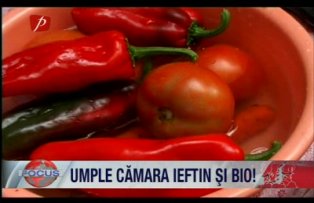 Umple camara ieftin si bio! Legume congelate