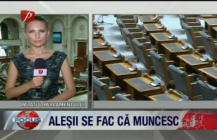 Alesii se fac ca muncesc