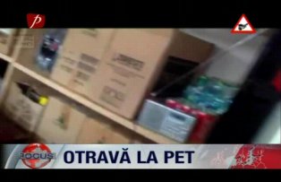 Otrava la pet