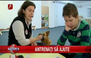 Antrenati sa ajute