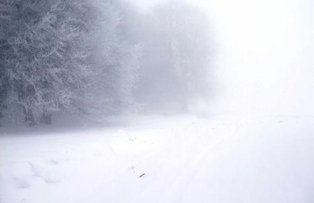 Cod galben de ceata si polei in mai multe judete