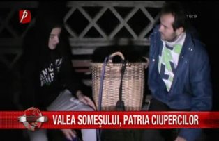 Valea Somesului, patria ciupercilor