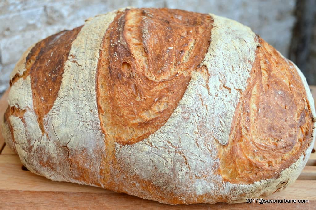 "Painea ingrasa si prosteste?". Adevarul despre alimentul pe care-l consumi zilnic