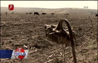 Seceta i-a îngenunchiat pe fermieri