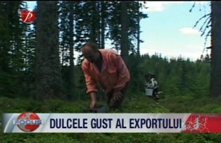Dulcele gust al exportului
