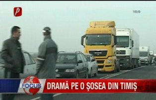 Dramă pe o şosea din Timiş