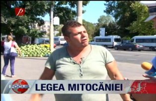 Legea mitocaniei