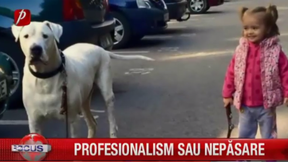 Cum alegem un cabinet veterinar? Informaţia care,  de multe ori, salvează vieţi