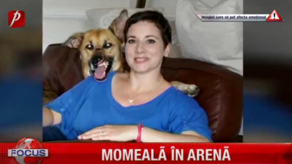 Sute de necuvântătoare din România au fost adoptate de familii din Germania, Anglia sau Elveţia