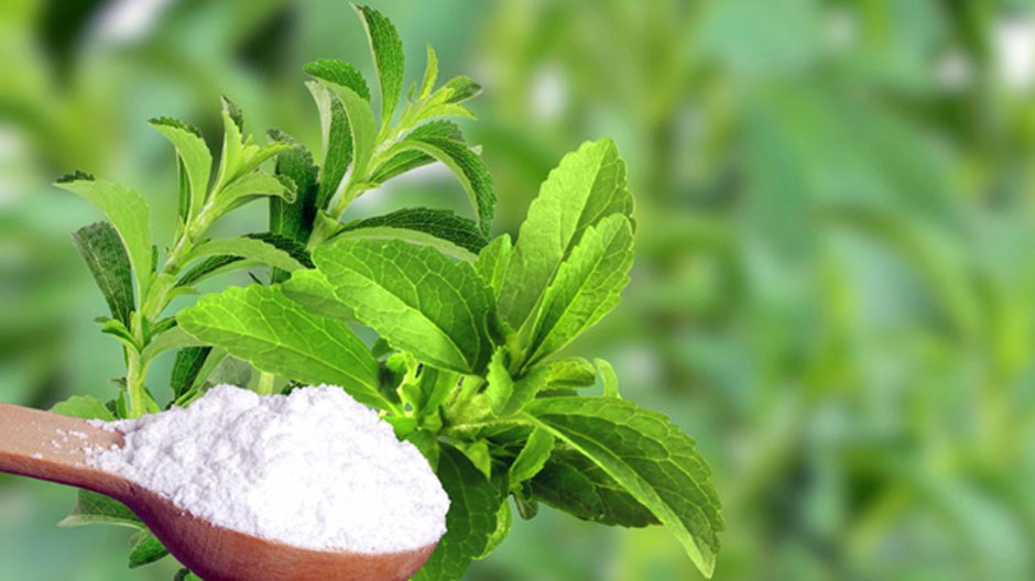 9 ingrediente care pot inlocui cu succes zaharul