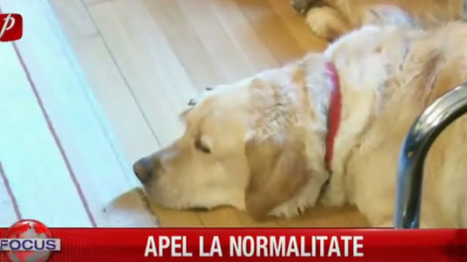 Se luptă să aibă dreptul la o viaţă normală însă extrem de rar au parte de aşa ceva