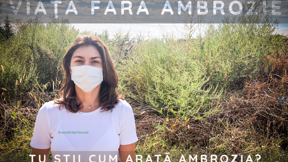 TU ŞTII CUM ARATĂ AMBROZIA?  Eveniment inedit duminică în Parcul Kiseleff din Capitală, în cadrul campaniei VIAŢA FĂRĂ AMBROZIE