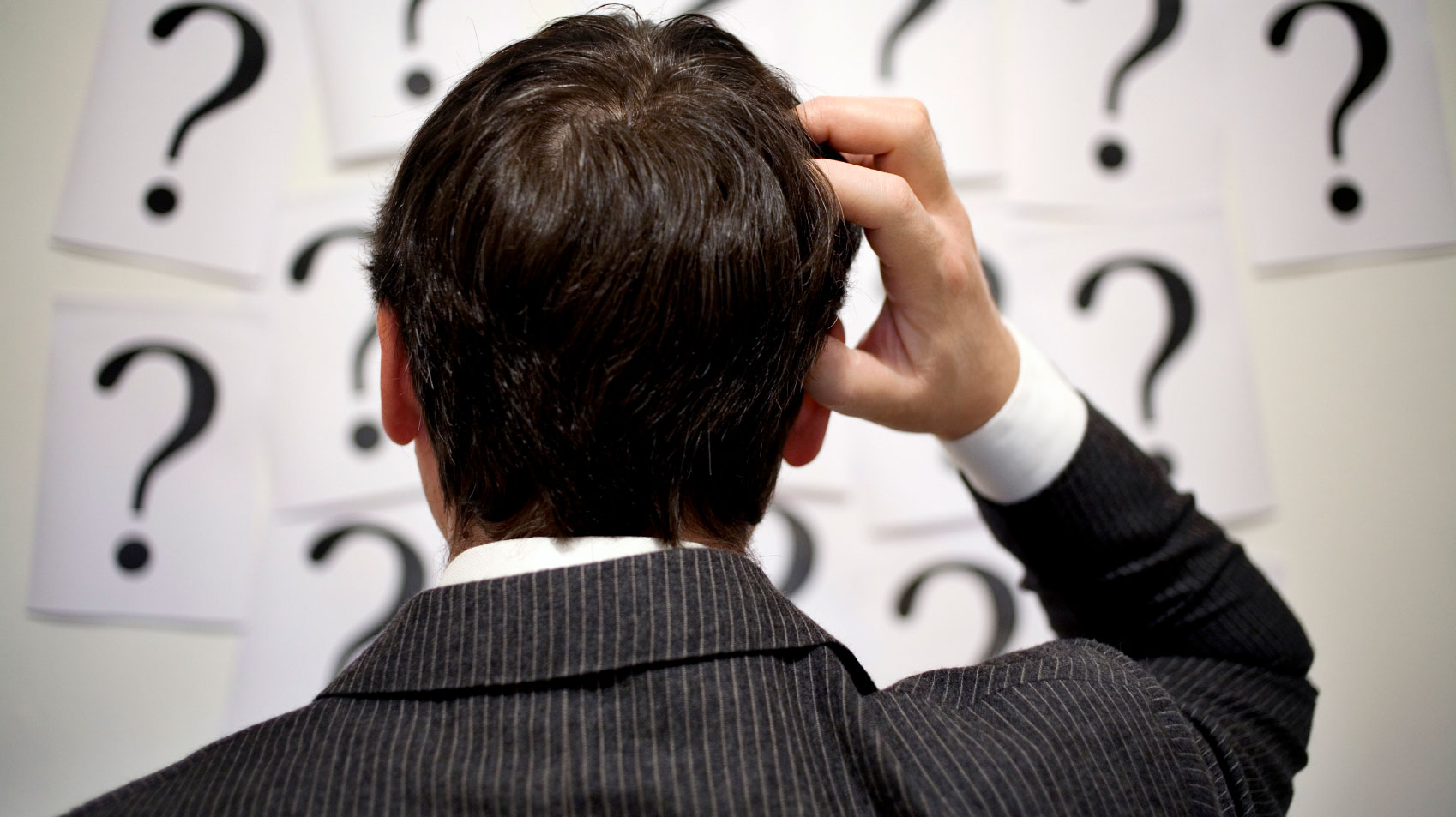 Este dovedit stiintific: Uitucii pot fi extrem de inteligenti
